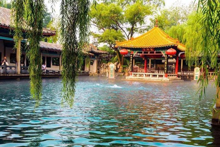 这一“课”，乐美瓷与您相约济南